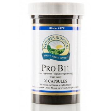 Probiotic NSP PRO BI11 capsule