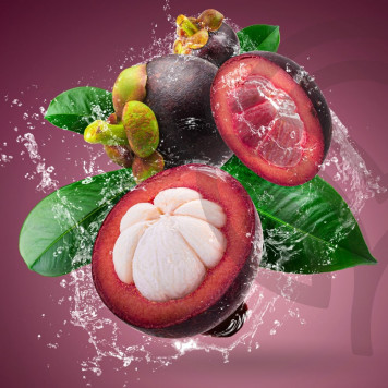 Zambroza (Zambroza) NSP antioxidant lichid