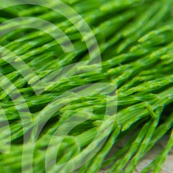 Complex de coada calului și rozmarin 100 capsule