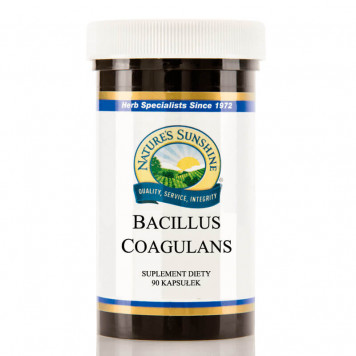 Bacillus coagulans (Bacillus coagulans) probiotic 
