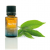 Ulei esențial - Tea Tree (Tea Tree) Ulei esențial - Tea Tree (Tea Tree)